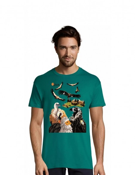 Camisetas