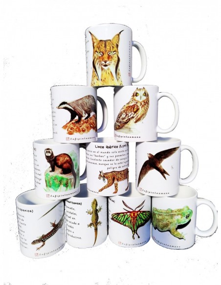 Tazas y menaje