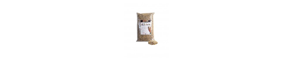 Comida, comederos y accesorios para aves silvestres