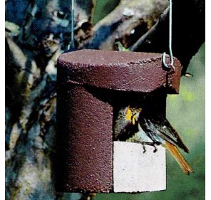 Caja nido para PETIRROJO y... 2