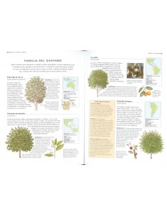 Árboles de España y del Mundo 2