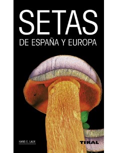 Setas de España y Europa....