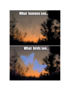 Siluetas mariposas... 2