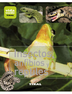 Insectos, afibios y reptiles