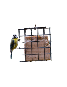 Pastel de sebo cuadrado 2