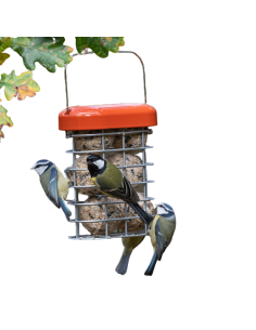 Comedero para bolas y... 2