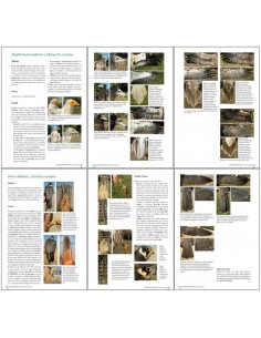 Atlas de identificación de... 2