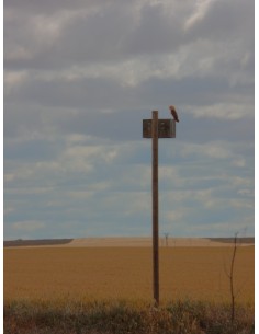 Caja nido GREFA para LECHUZA 2