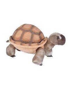 Peluche TORTUGA terrestre