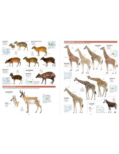 All the mammals of the world 2