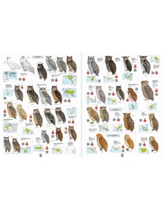 All the birds of the world 2