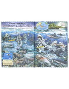 Atlas de los océanos y... 2
