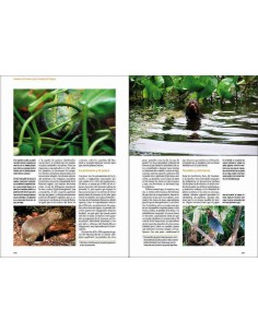 De Amazonia a Patagonia.... 2