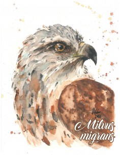 Saltiela milano infantil