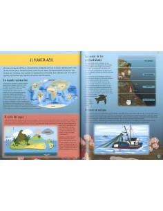 Descubre el océano 2