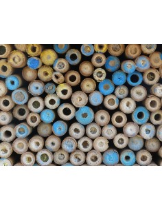 Refugio para abejas solitarias 2