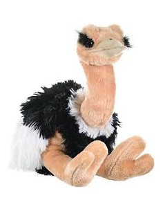Peluche AVESTRUZ