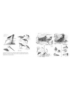 Cuaderno de campo del... 2