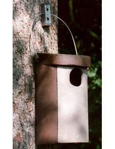 Caja nido para AUTILLO 2