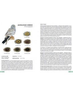 Guía de identificación de... 2