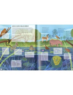 Un mundo de animales 2