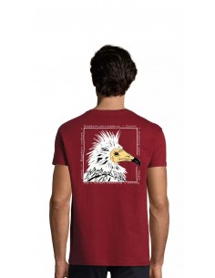 Camiseta alimoche