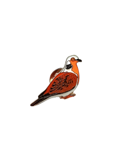 Pin tórtola europea