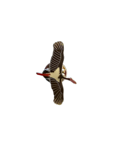 Pin cigüeña negra en vuelo