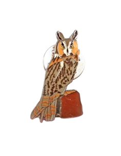 Pin búho chico