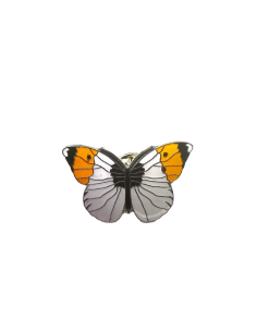 Pin mariposa aurora