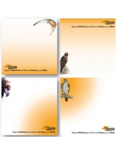 Tacos de notas especies de...