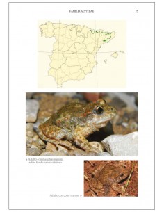 Guía de los reptiles y... 2