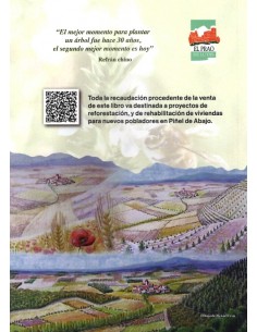 291 Plantas melíferas de... 2