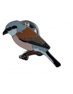 Pin alcaudón dorsirrojo