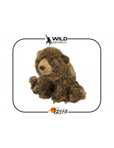 Oso. Peluche pequeño