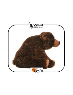 Oso pardo. Peluche mediano 2