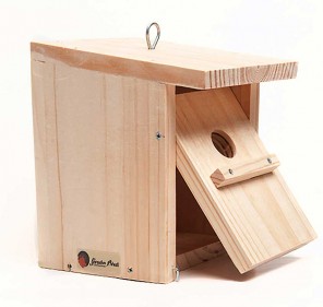 Caja nido para paseriformes... 2