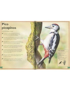 El majestuoso libro de las... 2