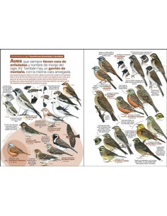 Guía de las aves... 2