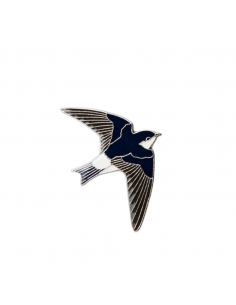 Pin avión común