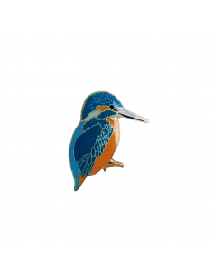 Pin martín pescador