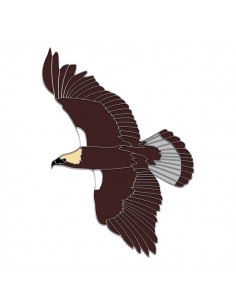 Pin águila imperial