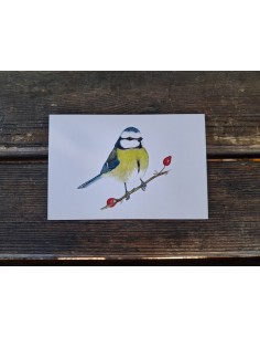 Postal Loubé-GREFA 2