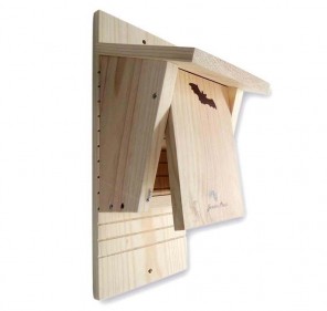 Refugio para MURCIÉLAGOS... 2