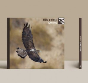 Águila de Bonelli 2